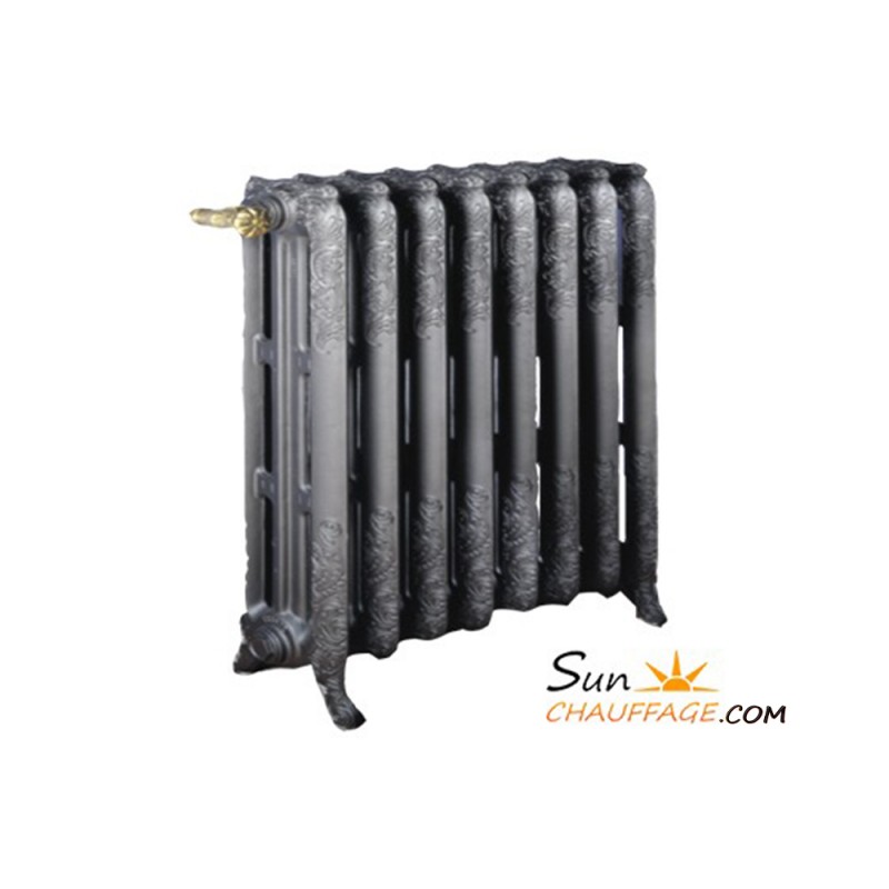 Radiateur Fonte Décor Orné Floréal Chappée